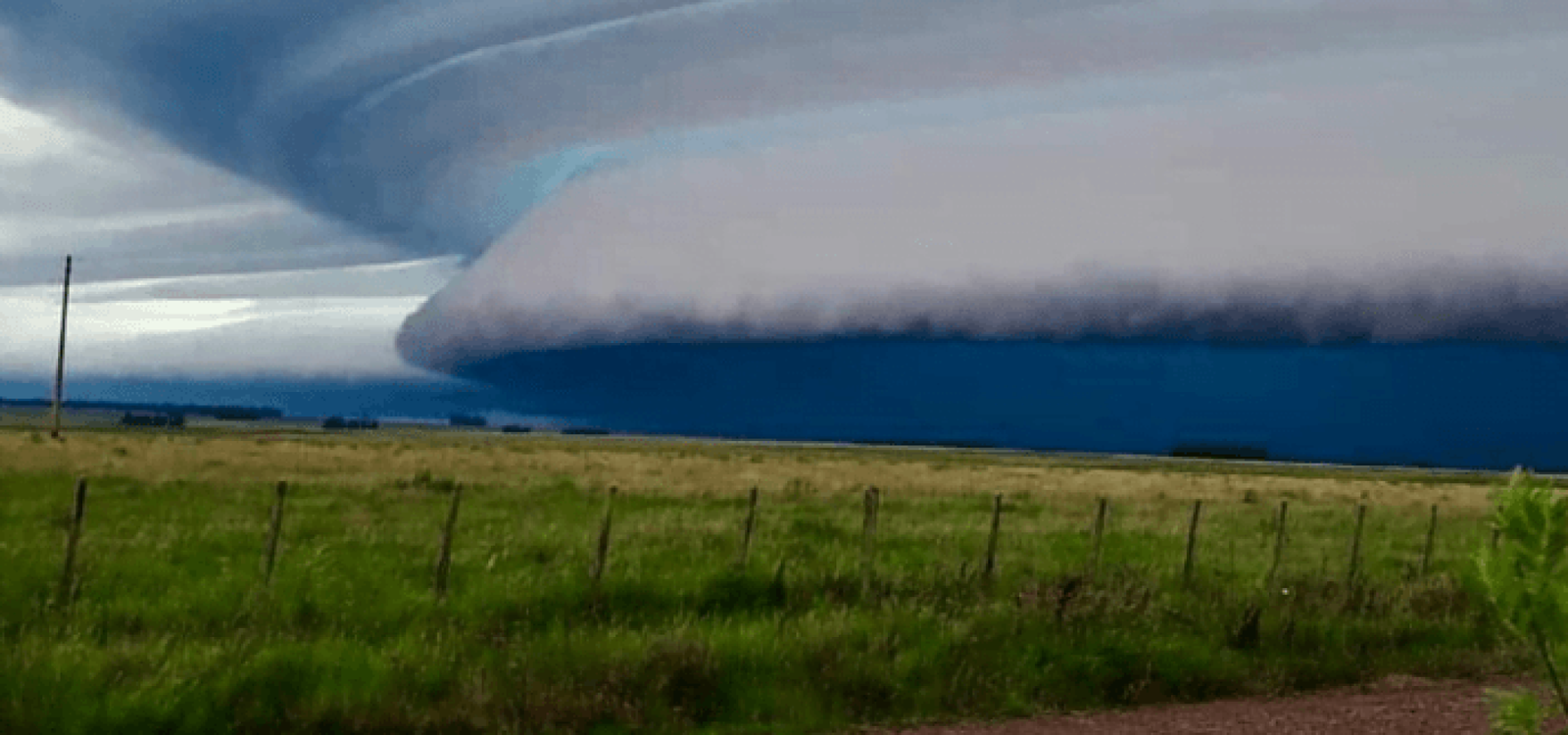 Foto: Karina de los Santos / Especial / CP