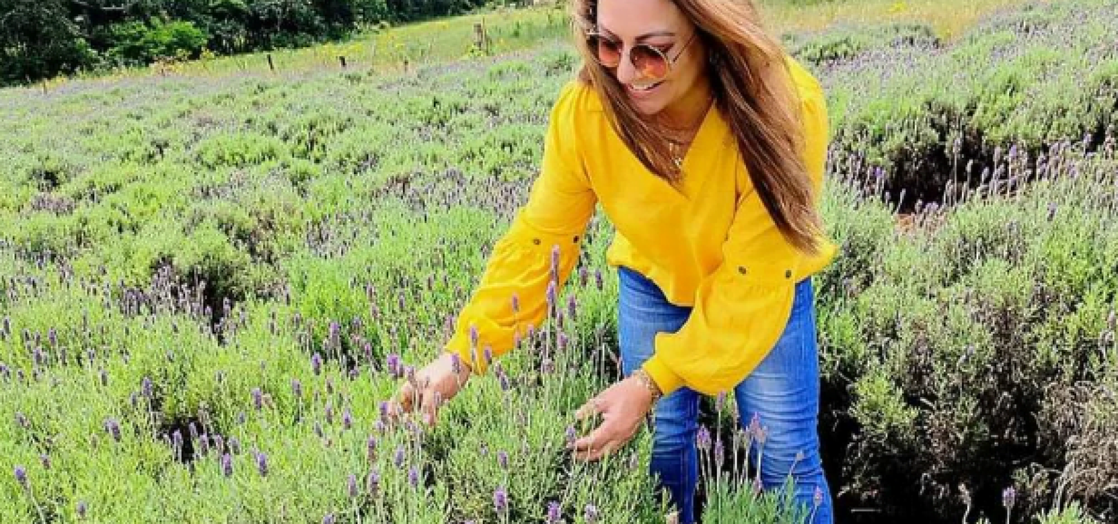 Screenshot_1 Screenshot_1