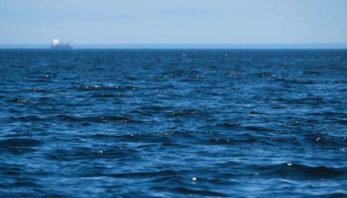 Aumento do nível do mar pode afetar disponibilidade de água doce, impactando vidas aquáticas e qualidade da água, segundo especialistas • wirestock/Freepik