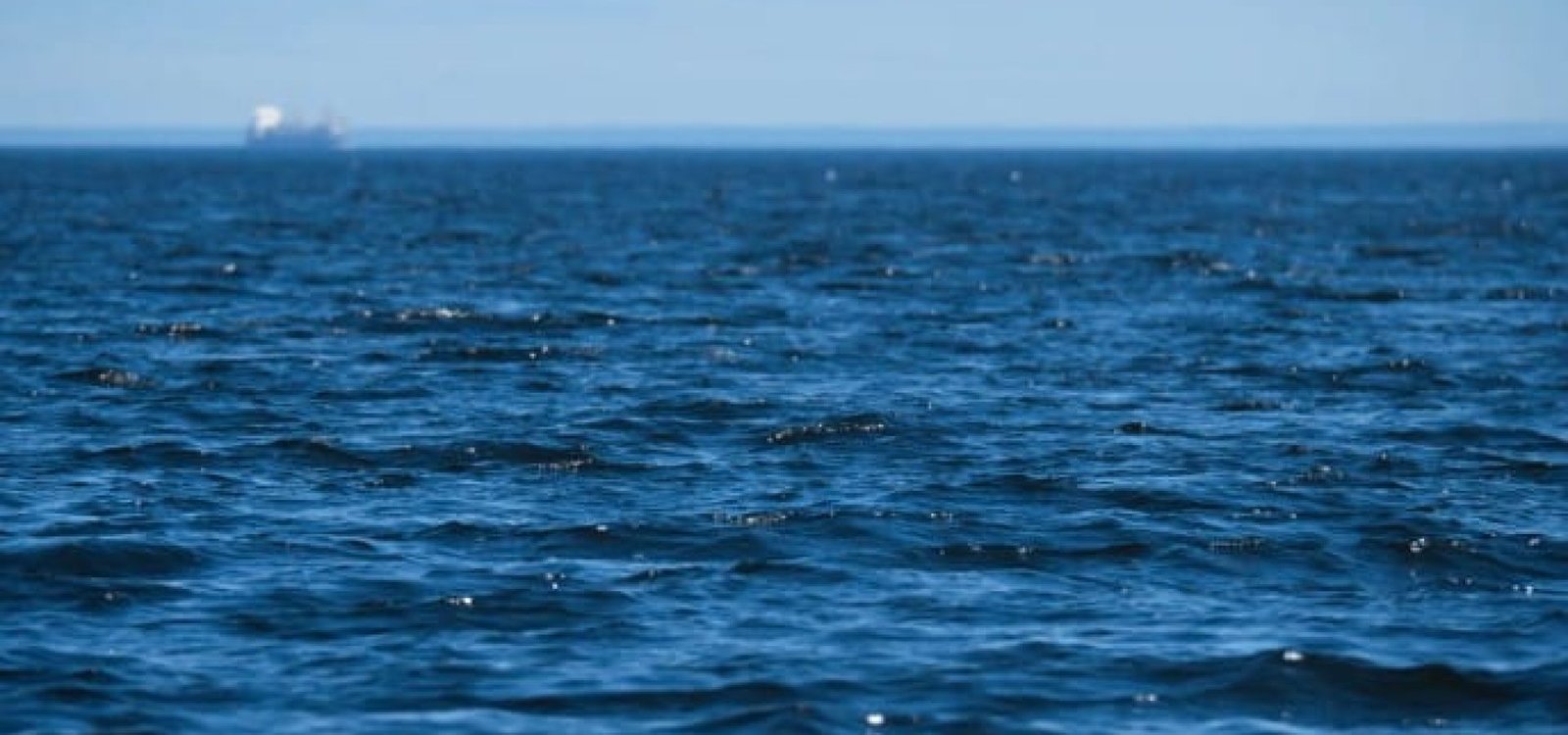 Aumento do nível do mar pode afetar disponibilidade de água doce, impactando vidas aquáticas e qualidade da água, segundo especialistas • wirestock/Freepik