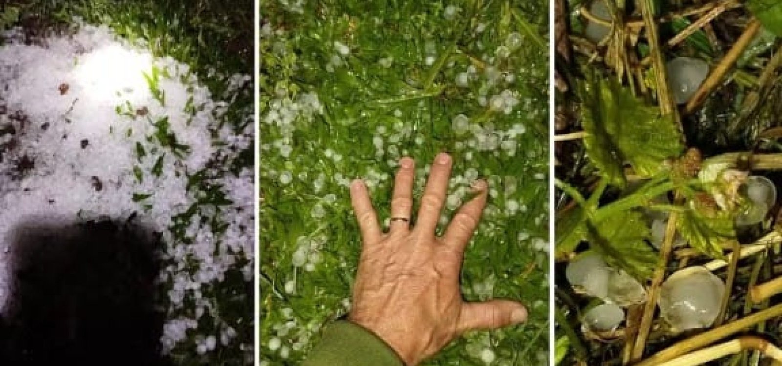 Registros de granizo em Coronel Pilar, na Serra do RS — Foto: Luciano Contini. /Arquivo Pessoal