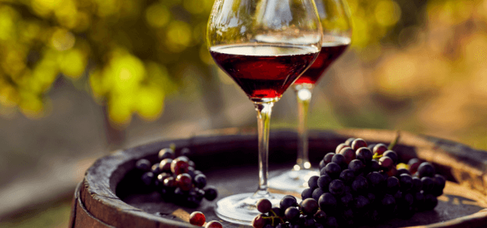 Vinicola Jolimont Canela – RS