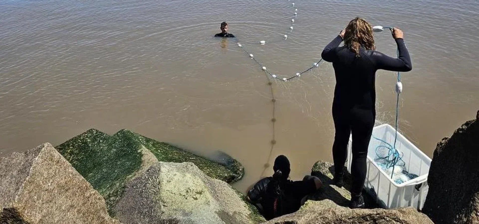 A rede é uma das formas de monitoramento das tartarugas que apareciam até o início da enchente nos Molhes, no Cassino. | Foto: Paula Moreira/Especial/CP