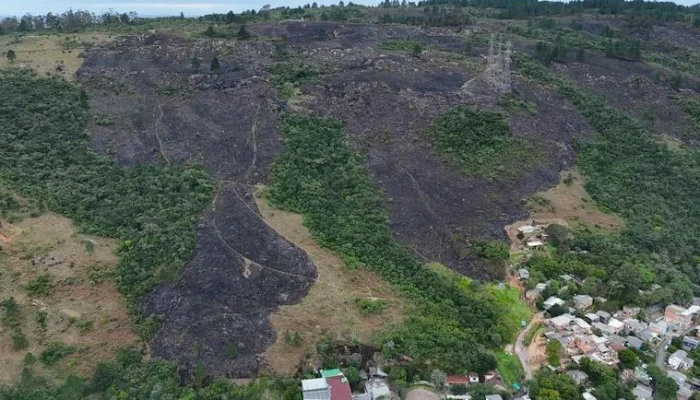 Incêndio danificou vegetação do Morro Santana. | Foto: Regis Silva / Sul na Lente / Especial / CP