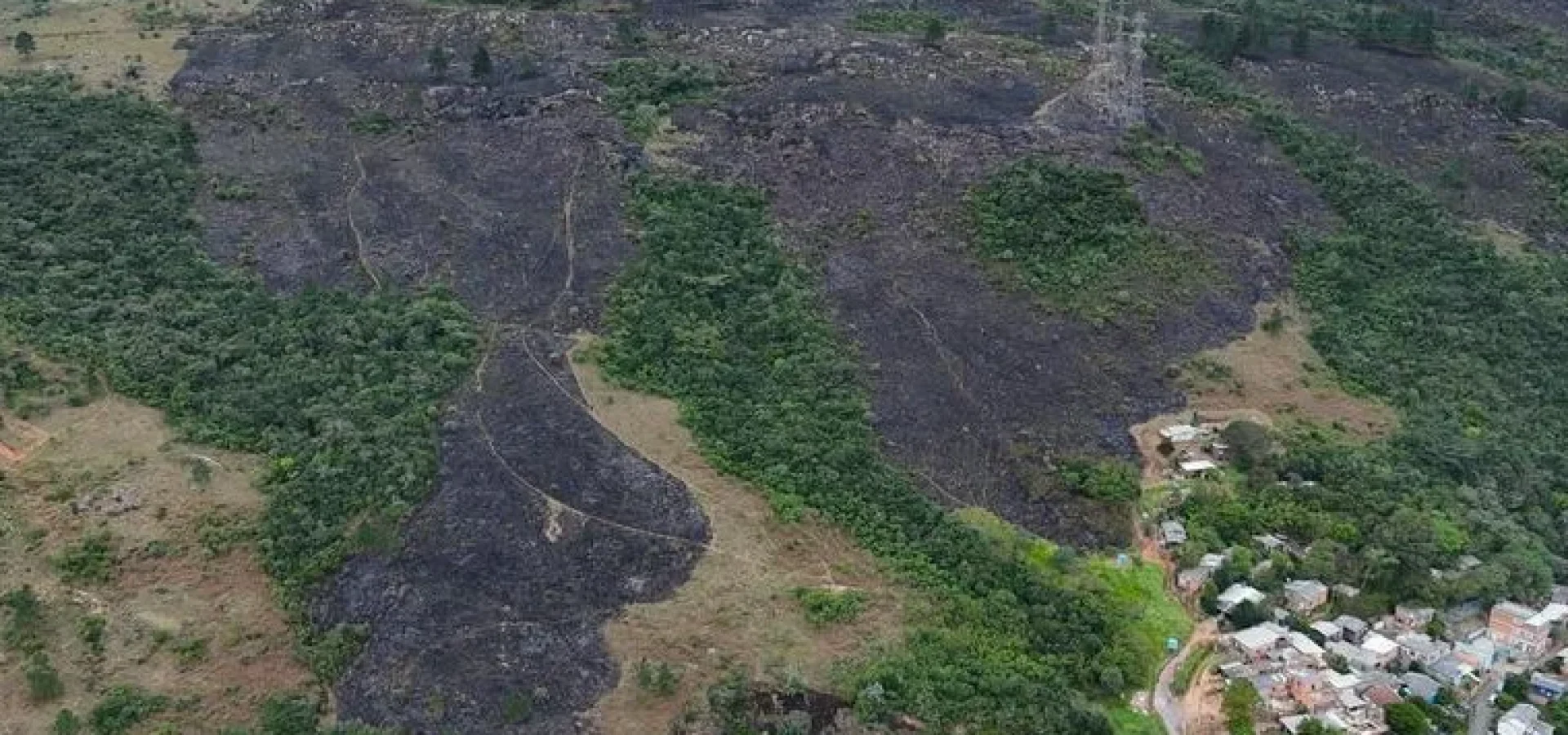 WhatsApp-Image-2024-07-04-at-09-15-15 (1) Incêndio danificou vegetação do Morro Santana. | Foto: Regis Silva / Sul na Lente / Especial / CP