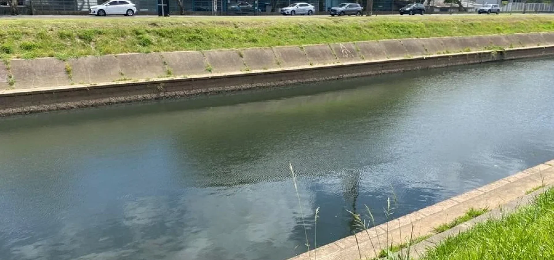 Homem foi encontrado morto no Arroio Dilúvio, na Capital.
Foto : Marcel Horowitz / CP