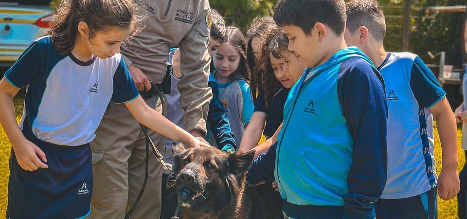 a3b2f629-5f73-4457-bf4e-59f72251fe64