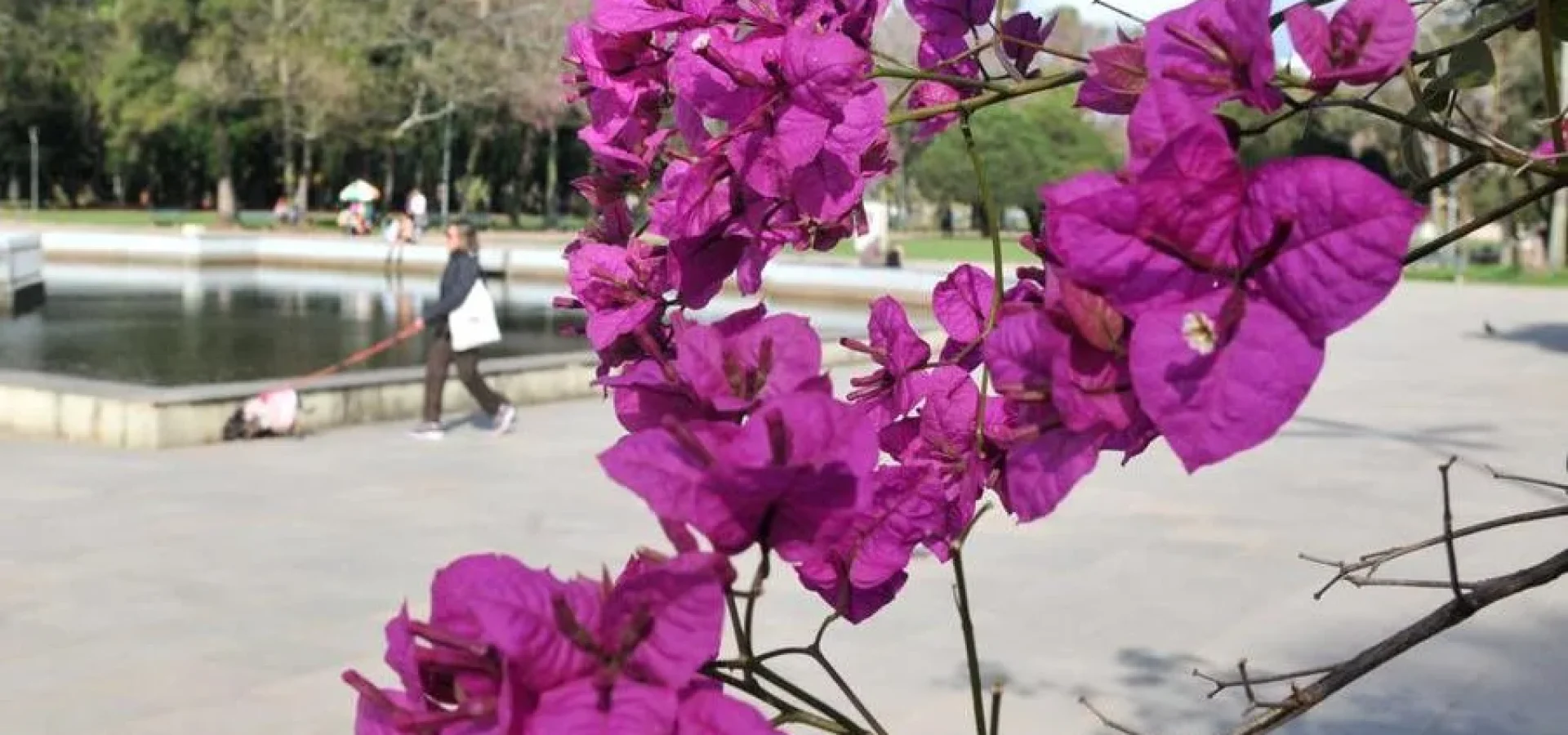 Dia começa com sol, mas chuva avança pelo Estado. | Foto: Mauro Schaefer