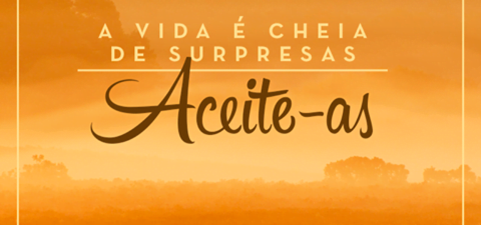 aaf8739a2595fa9564ba4b96a59c51bd