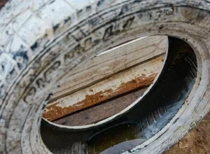 Água parada, seja ela limpa ou suja, o Aedes fêmea, vetor também da zika e da chikungunya, encontra o lugar propício para pôr seus ovos | Foto: Guilherme Almeida