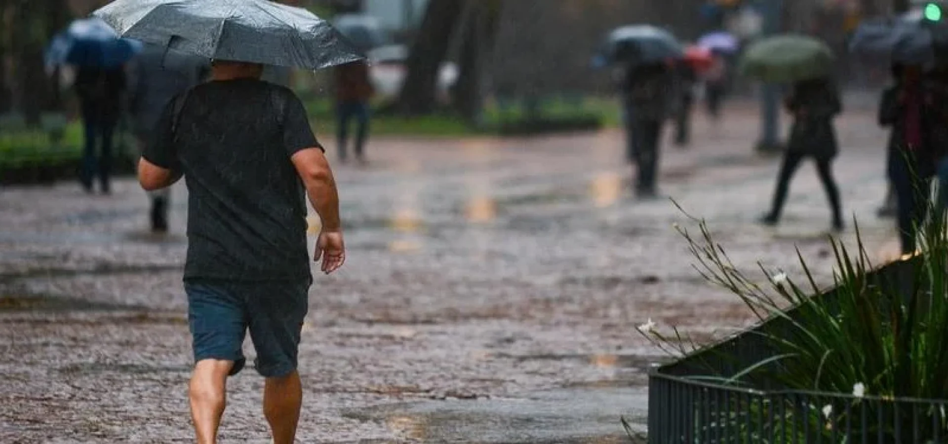 A instabilidade deve atingir principalmente a metade Leste e Sul do Estado.
Foto : Pedro Piegas