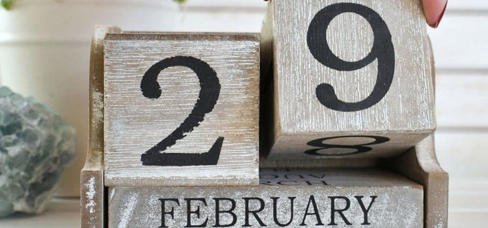 Créditos: Divulgação