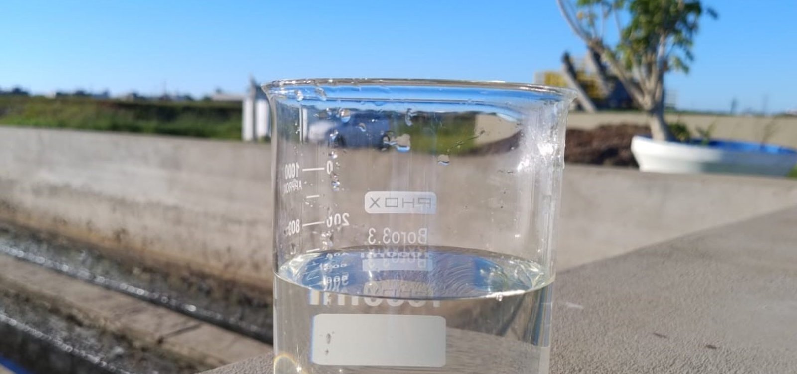 Efluente tratado, coletado na manhã desta sexta-feira, 7, na Estação de Tratamento de Esgoto (ETE) II Xangri-Lá, da Corsan.