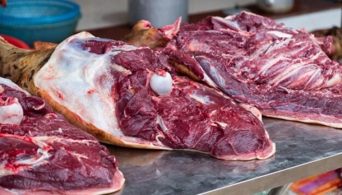 carne-de-cachorro