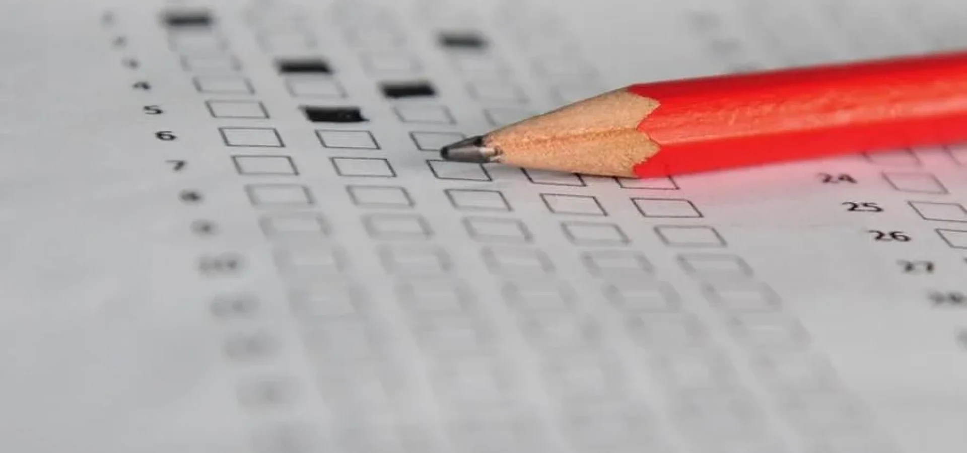 Oportunidades estão distribuídas entre prefeituras, universidades e outras instituições. | Foto: Alina Souza