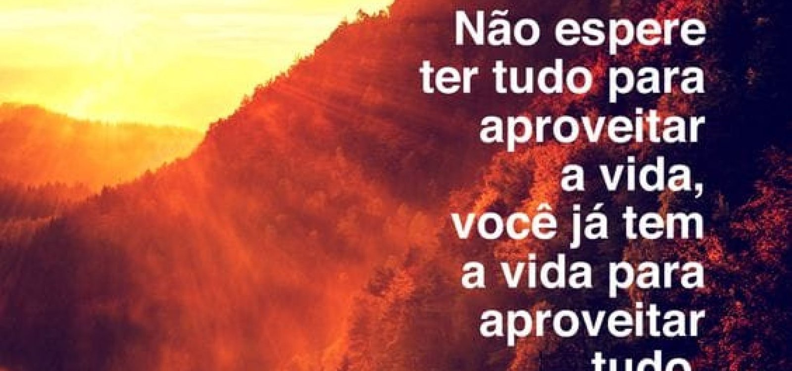 d2ff63c5e900805cc59618eeb4fb95f0