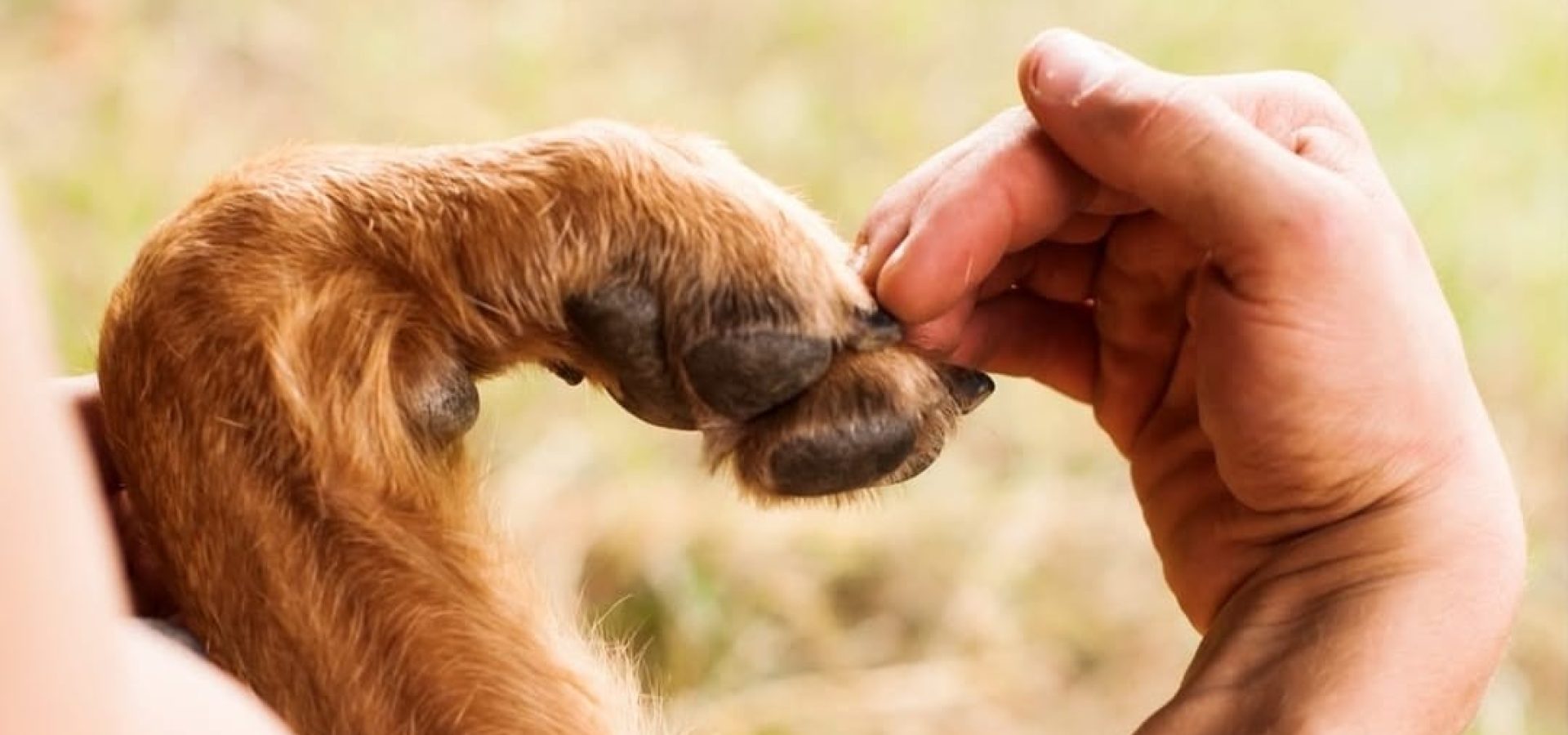 dc968169-3ea7-4162-ab50-9981924da833