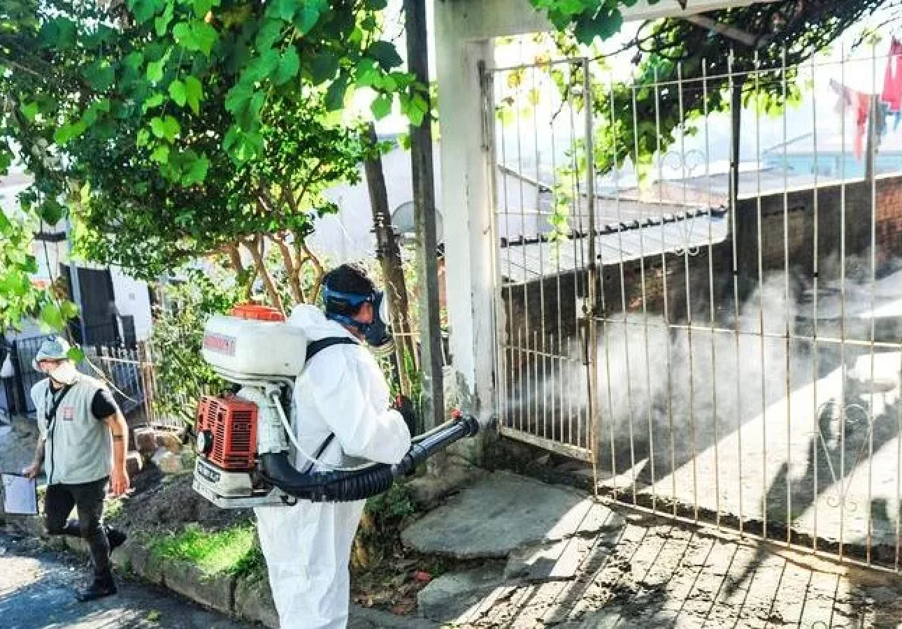 Nota Pública também oferece orientações sobre como identificar os sintomas e diferenciá-los de outras infecções | Foto: Maria Eduarda Fortes