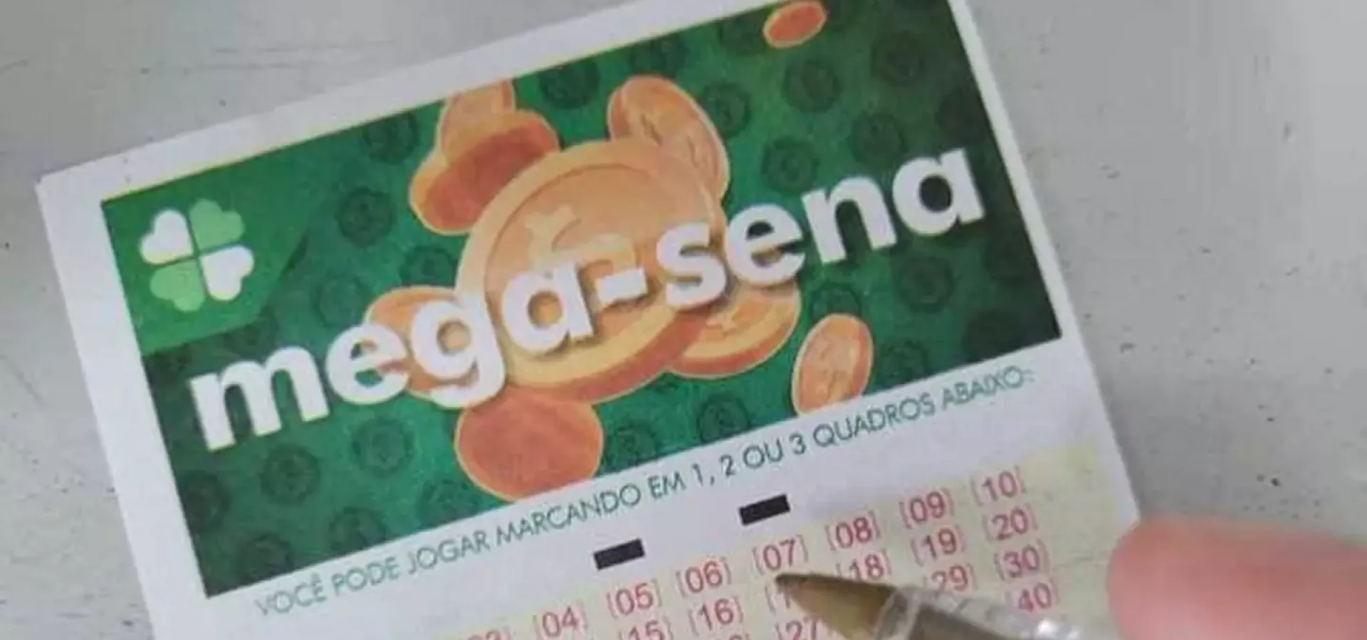 dia-da-arvore Os números sorteados foram: 06 - 19 - 38 - 41 - 46 - 57. (Foto: Agência Brasil)