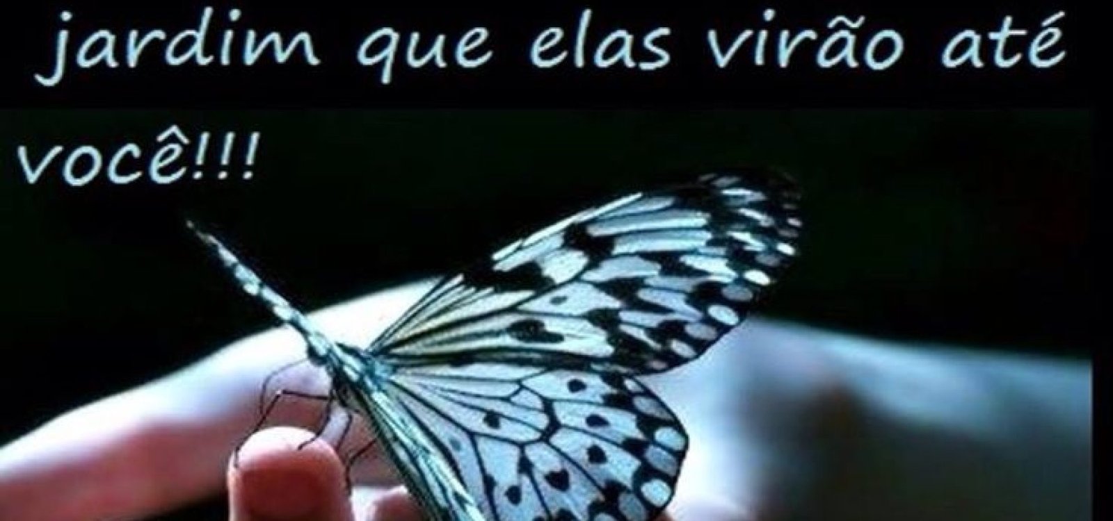 ee169304a888b6de037f656d8b138302