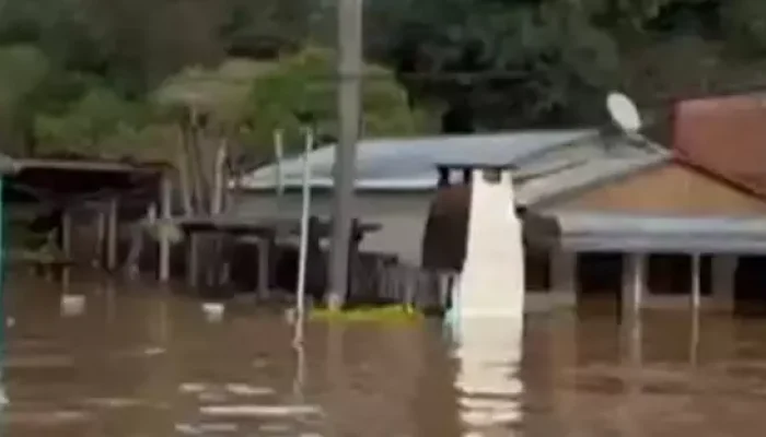 A terceira vítima é um idoso de 72 anos.

Foto: Reprodução de vídeo