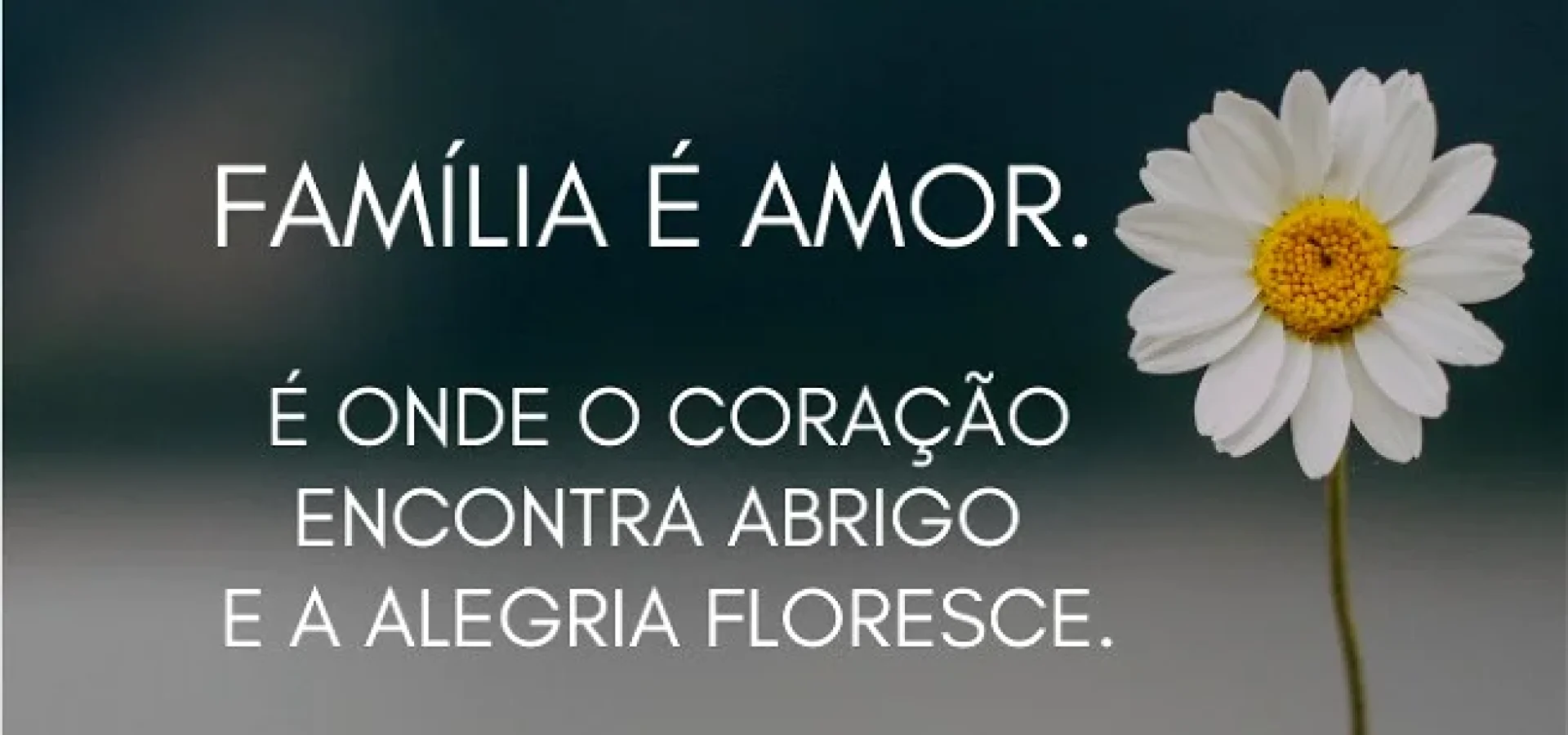 fami_lia_e_amor_e_onde_o_corac_a_o_encontra_abrigo_e_a_alegria_floresce_c