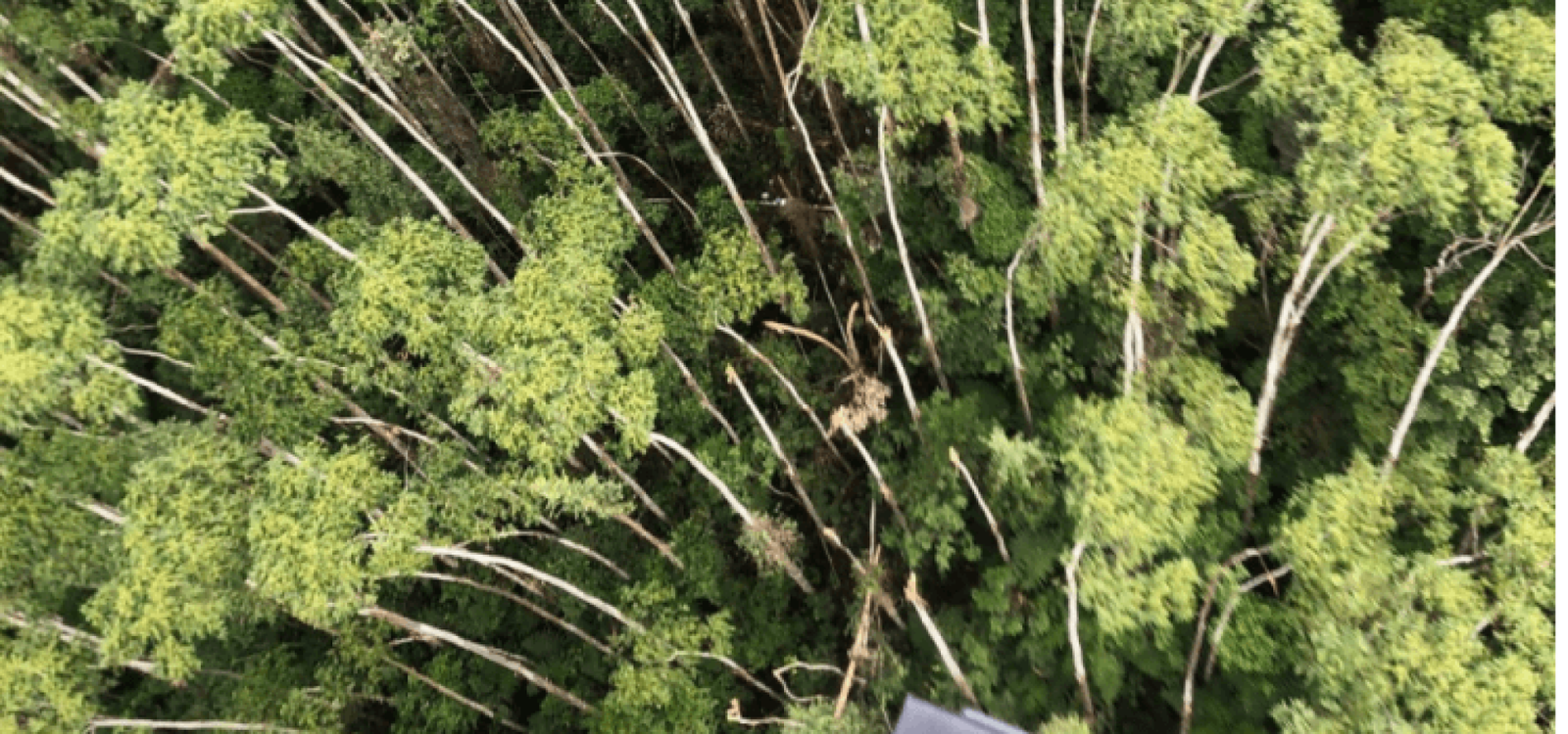 Aeronave foi encontrada pela Polícia Militar na manhã desta sexta-feira, 12; corporação informa que o local ‘é de difícil acesso e as equipes continuam os trabalhos’