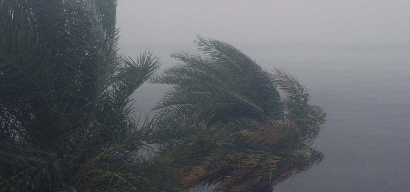 furacao-2-1920×1080 (Imagem: J. L. Bryson / Shutterstock.com)