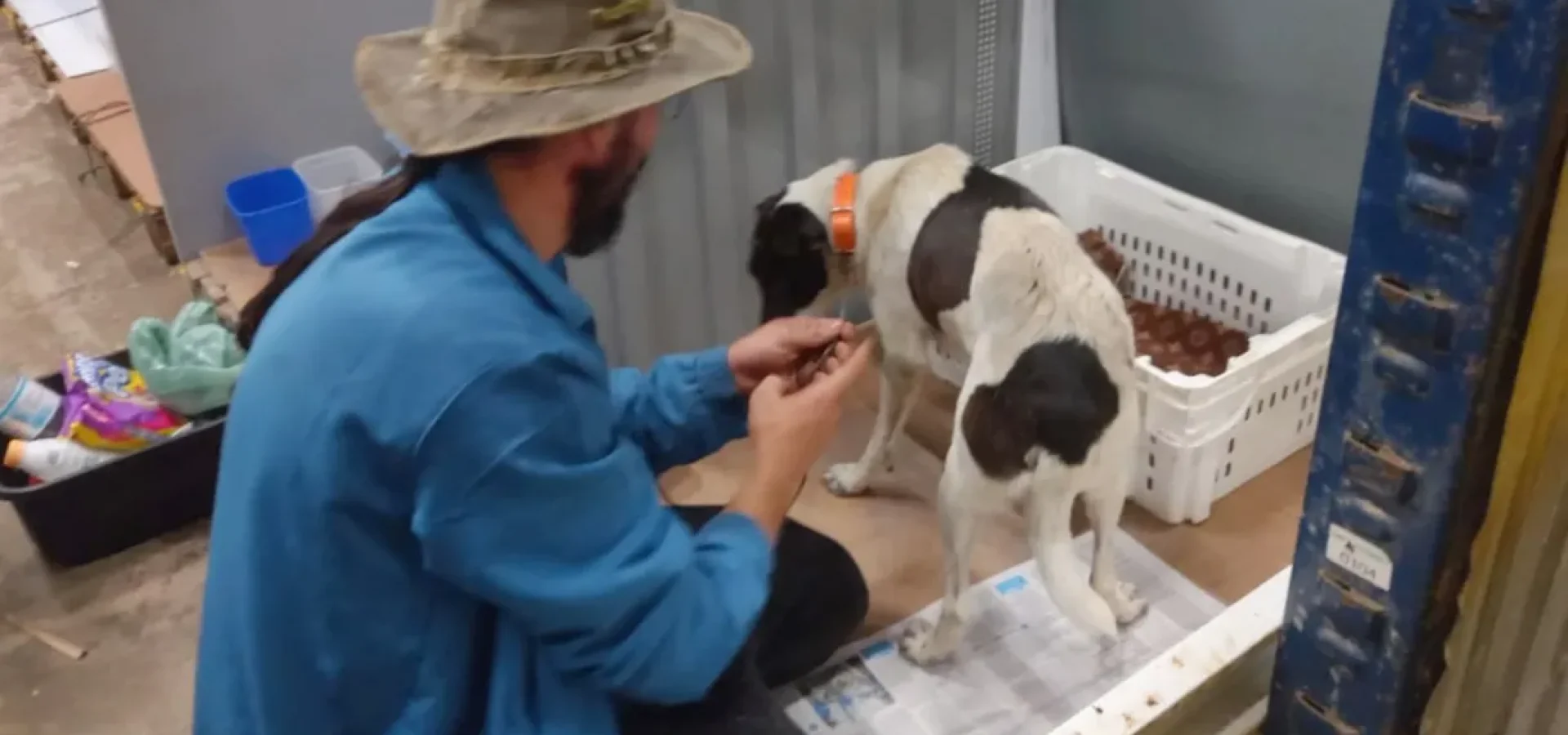 O Projeto de Lei previa o pagamento de R$ 450 reais por animal, em duas parcelas, para quem adotasse até dois pets resgatados da enchente.

Foto: Divulgação