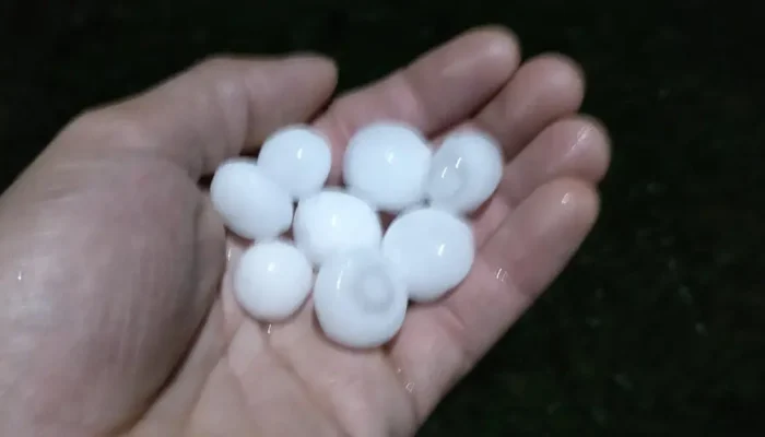 Granizo que caiu no final da madrugada deste sábado em Bagé | JONAS SILVA