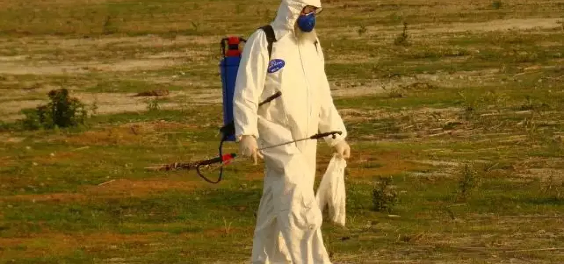 O ministério afirmou também que vai aplicar, juntamente com o órgão estadual, os procedimentos de erradicação do foco.

Foto: Reprodução