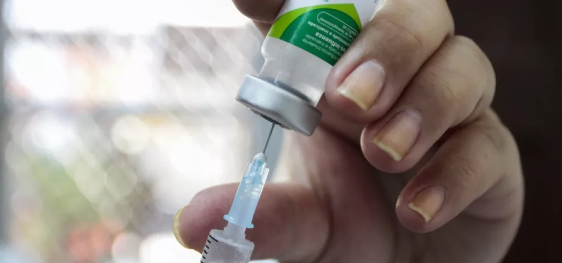 Foto: Cristine Rochol/PMPA