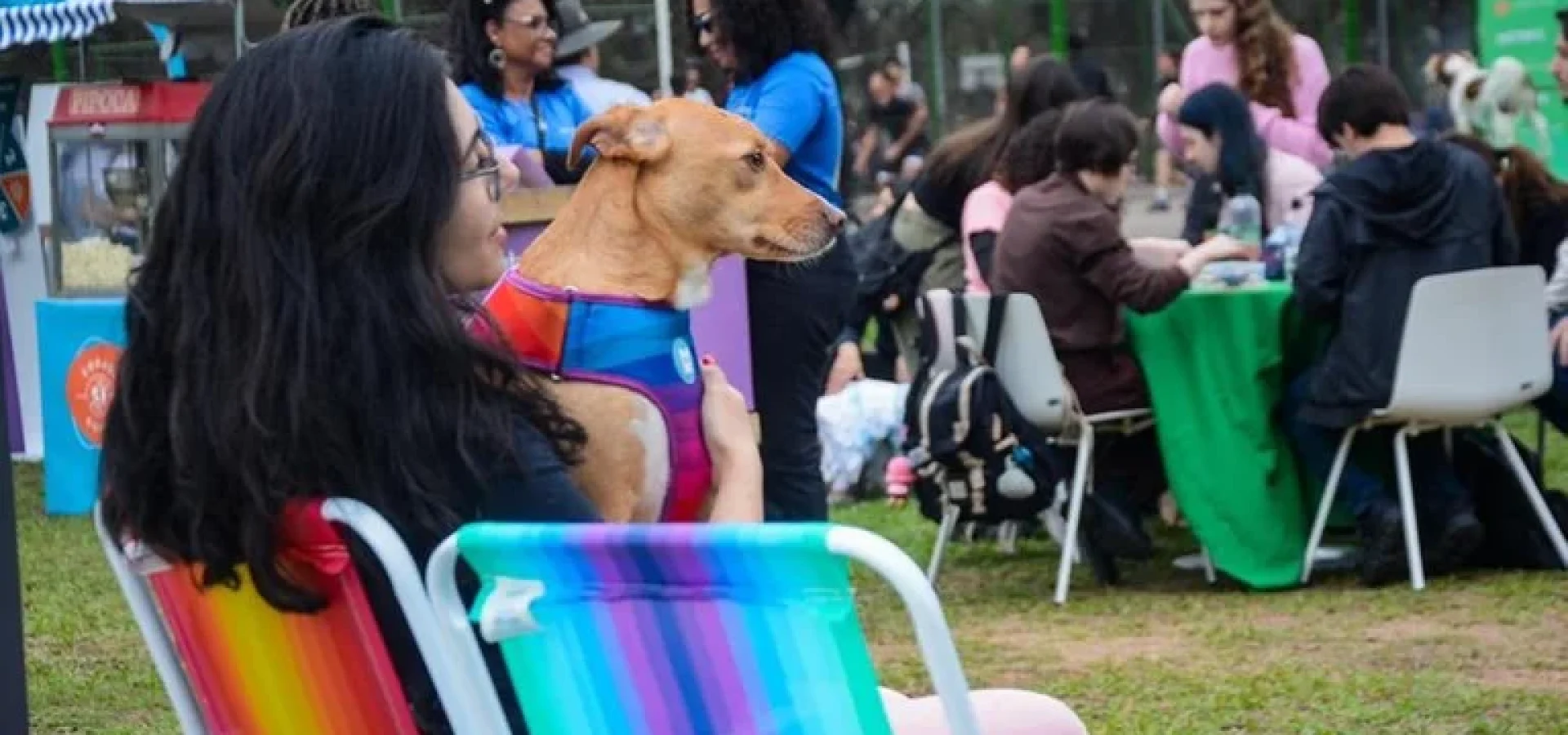 Apenas 30% dos lares formados por pessoas na terceira idade possuem animais de estimação. | Foto: Pedro Piegas / CP Memória