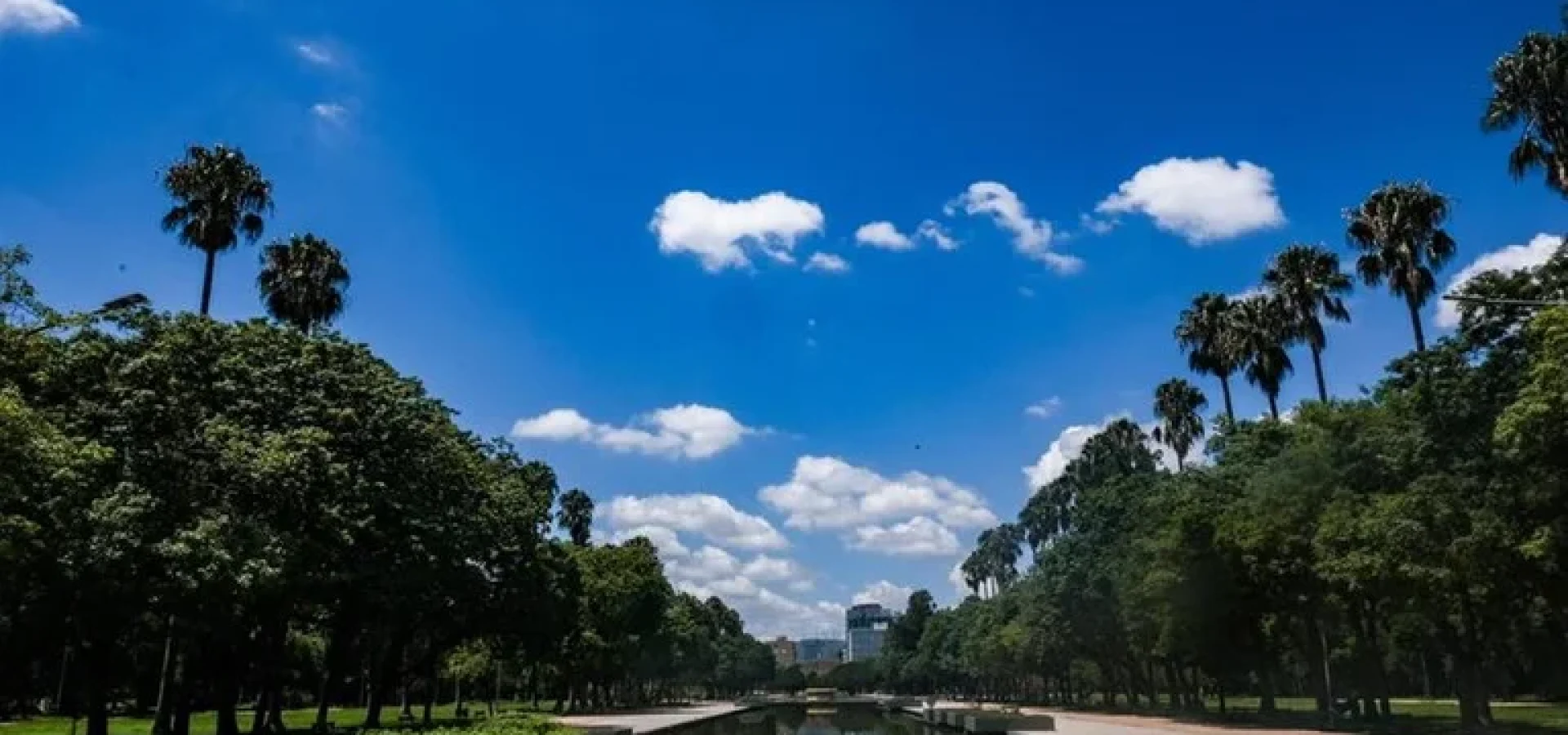 RS terá domingo de sol e calor intenso. | Foto: Pedro Piegas