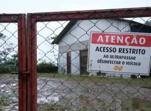 A influenza aviária de alta patogenicidade (vírus H5N1) é uma doença de notificação obrigatória imediata aos órgãos oficiais de defesa sanitária animal do País. | Foto: Pedro Piegas