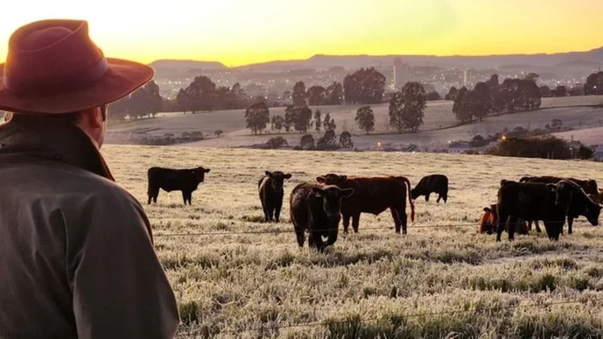Segundo a MetSul, Estado poderá ter amanhecer frio, mas temperaturas se elevam no decorrer do dia. | Foto: Pablo Gomes / Epagri Lages / CP