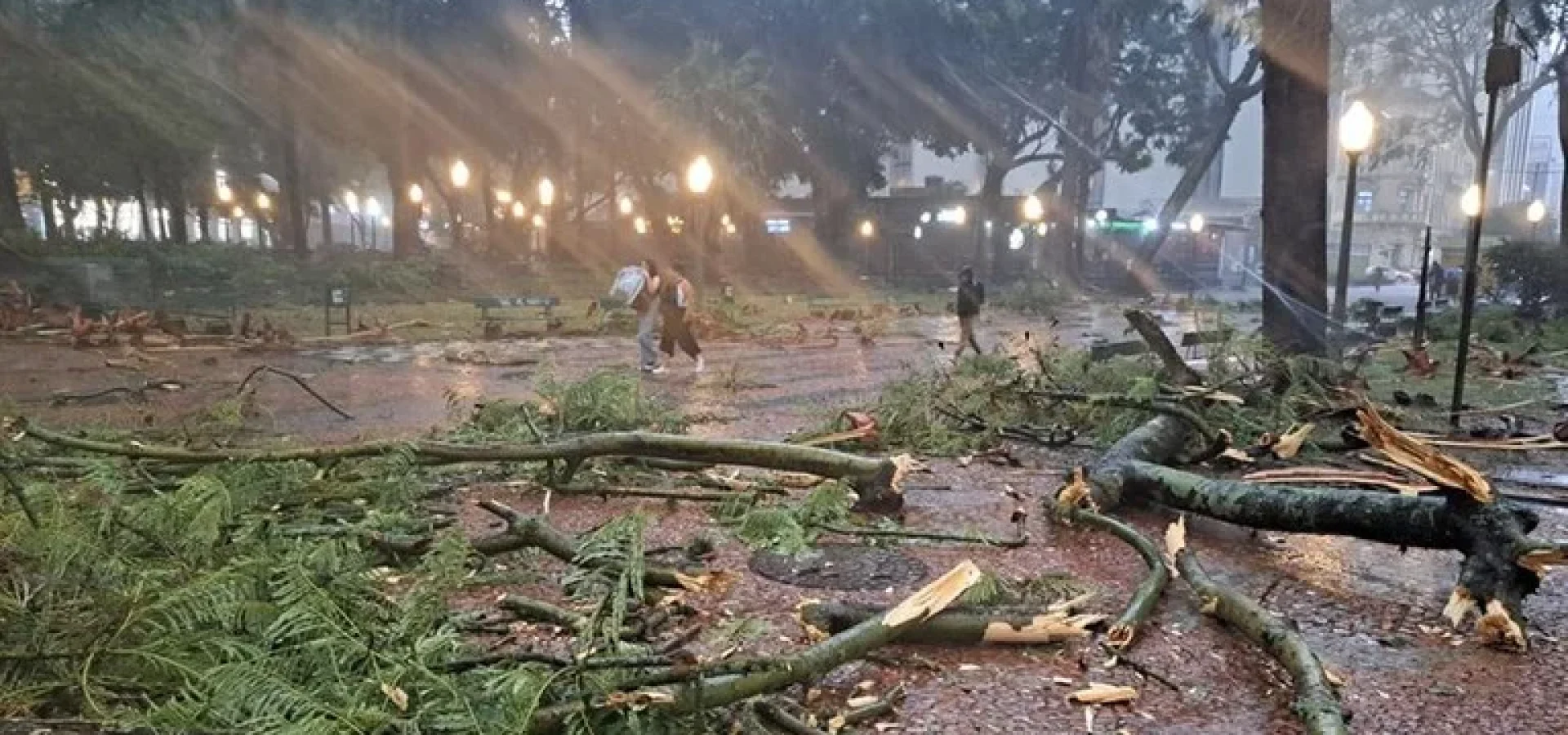 Galhos arrancados pela força do vento ficaram espalhados pela cidade. | Foto: Ricardo Giusti