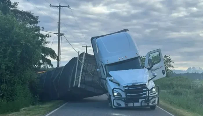 As colmeias, que estavam em caixas, posteriormente caíram do caminhão, e apicultores locais se mobilizaram para ajudar a recuperar. | Foto: Reprodução/Gabinete do Xerife do Condado de Whatcom