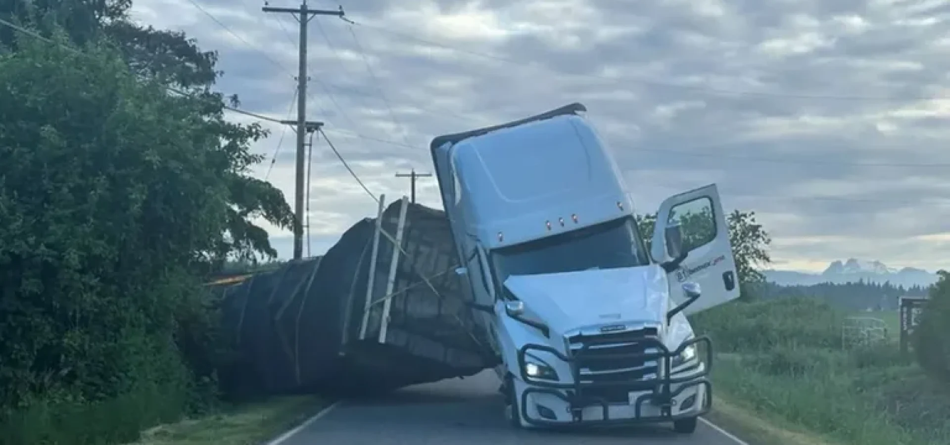 As colmeias, que estavam em caixas, posteriormente caíram do caminhão, e apicultores locais se mobilizaram para ajudar a recuperar. | Foto: Reprodução/Gabinete do Xerife do Condado de Whatcom