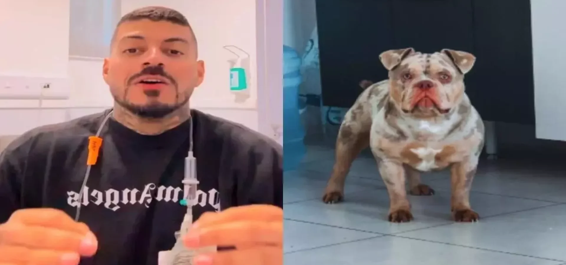 “Eu acordei sem um dedo no pé. O meu cachorro, ele comeu o meu dedo. Vocês sabem que eu sou cadeirante e da cintura para baixo não tenho sensibilidade. E o meu abençoado, o Bradock, comeu o meu dedo.”