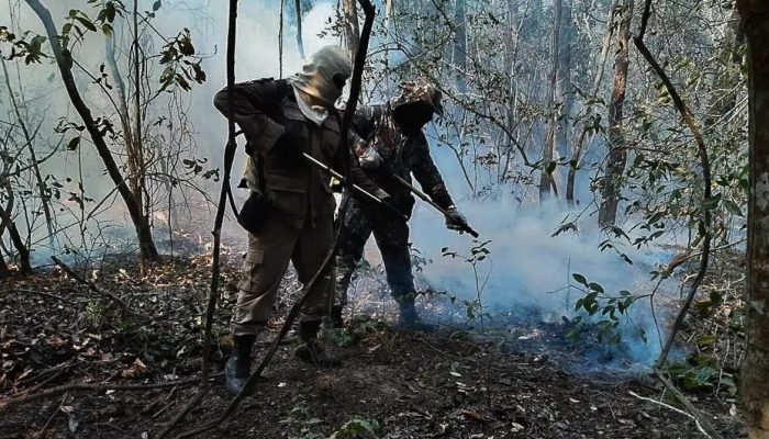 incendios