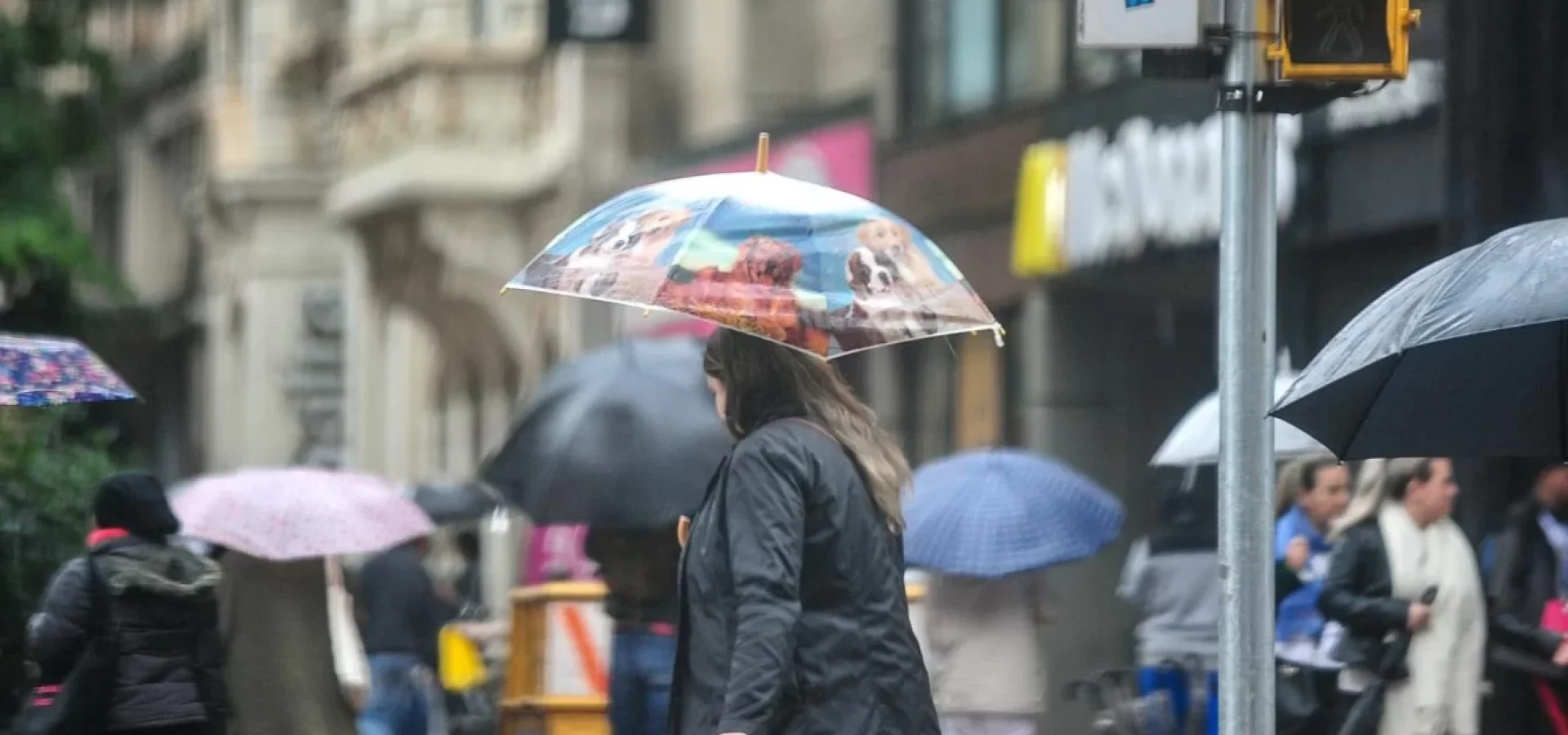 Na Capital, a mínima será de 12ºC e a máxima de 27ºC | Foto: Maria Eduarda Fortes