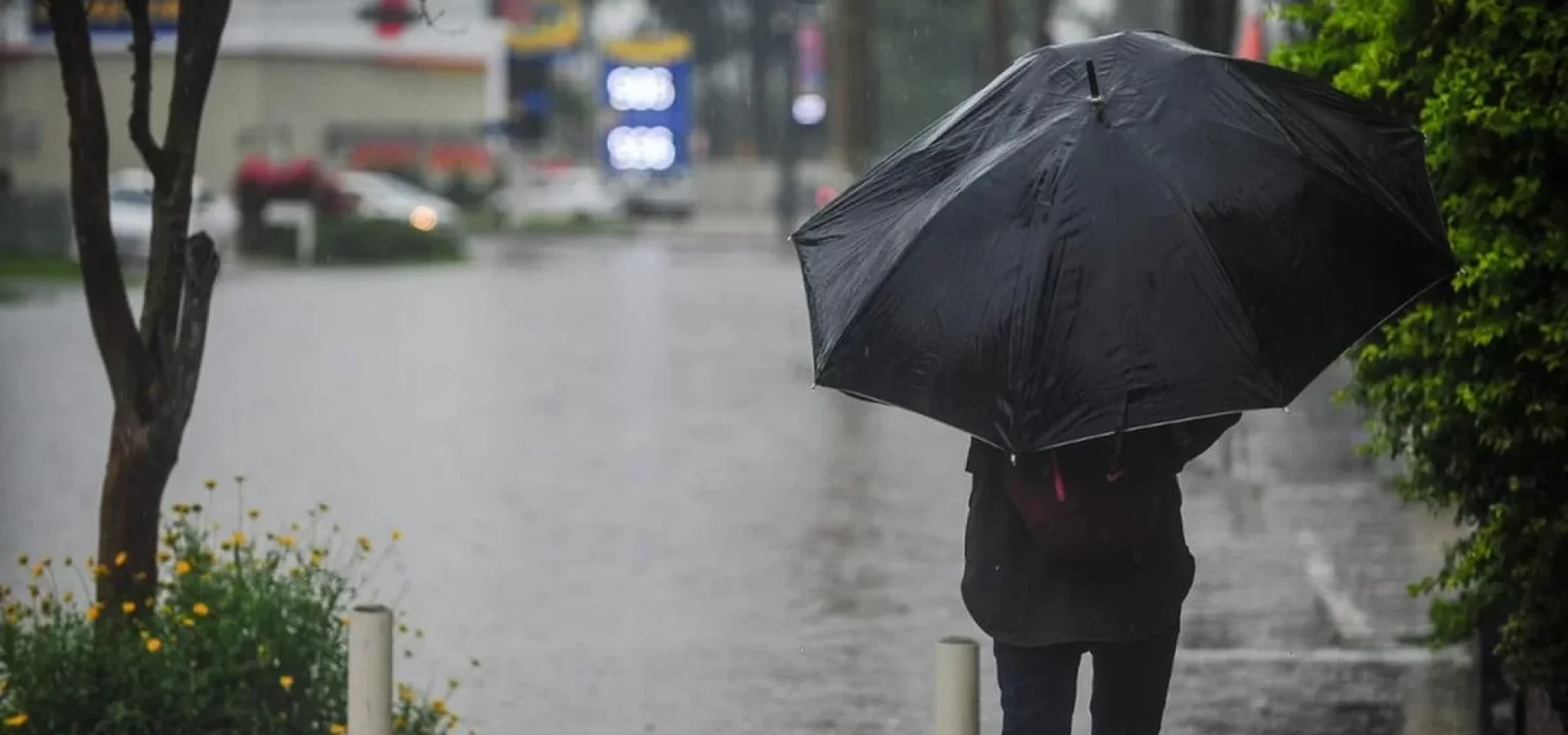 Chuva tende a se concentrar na Metade Norte do RS neste domingo | Foto: Maria Eduarda Fortes