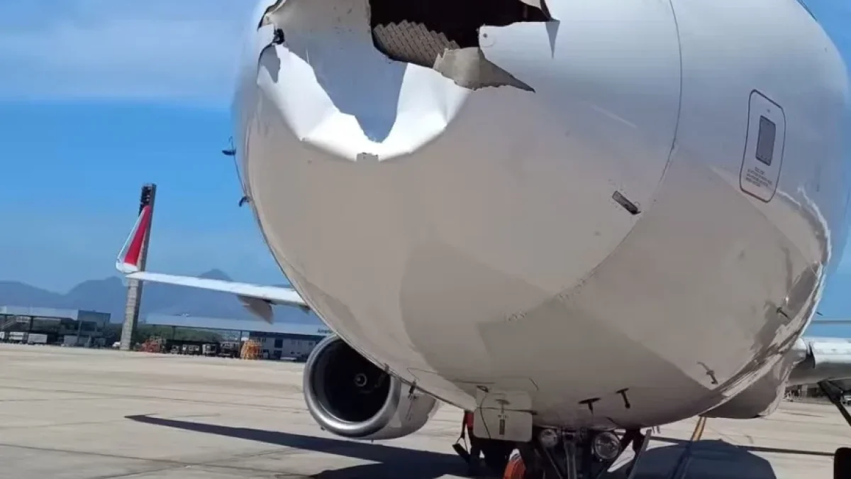 O incidente, chamado bird strike, danificou o bico da aeronave e causou o cancelamento do voo
Reprodução.