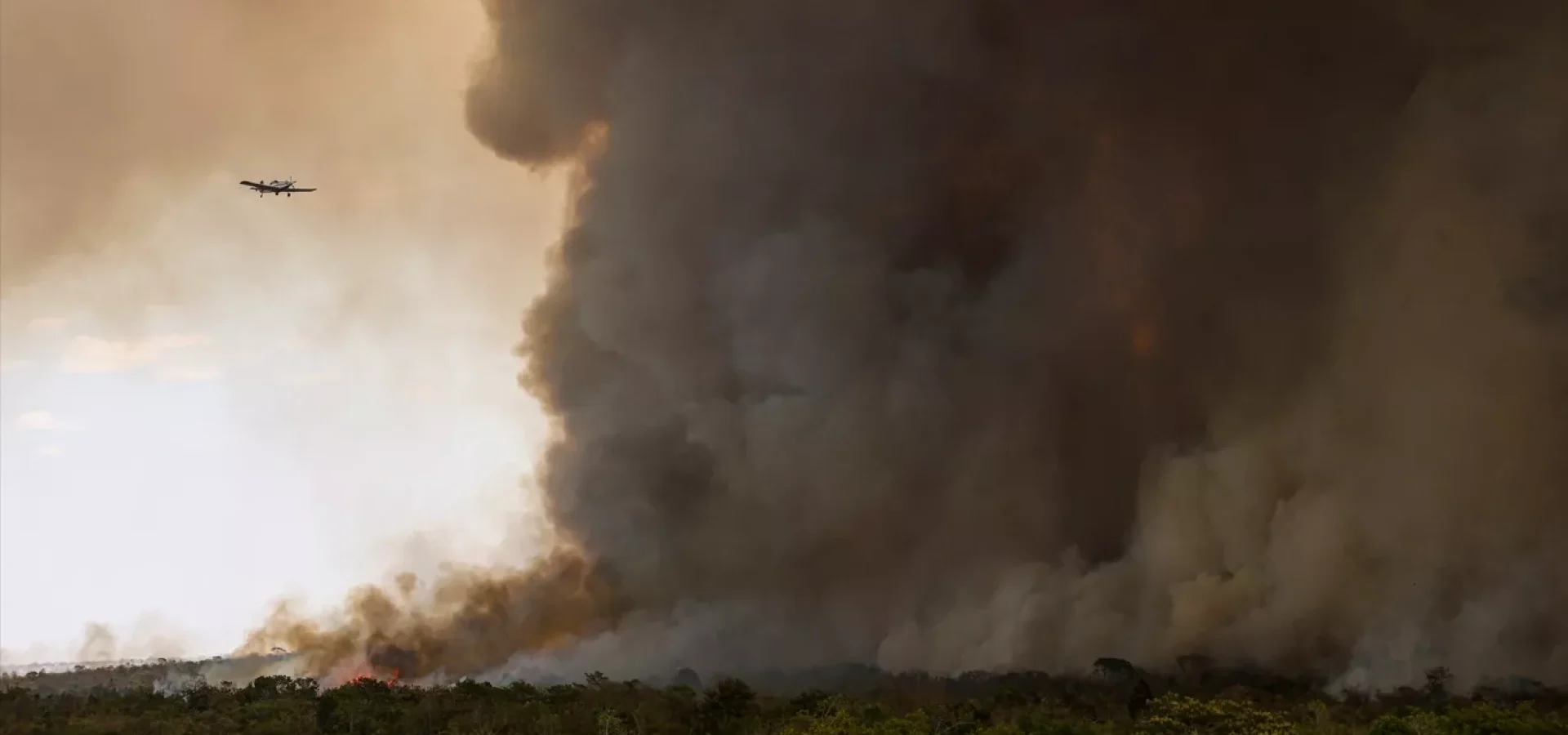 Fogo avança no Parque Nacional de Brasília | MARCELO CAMARGO/AGÊNCIA BRASIL/EBC