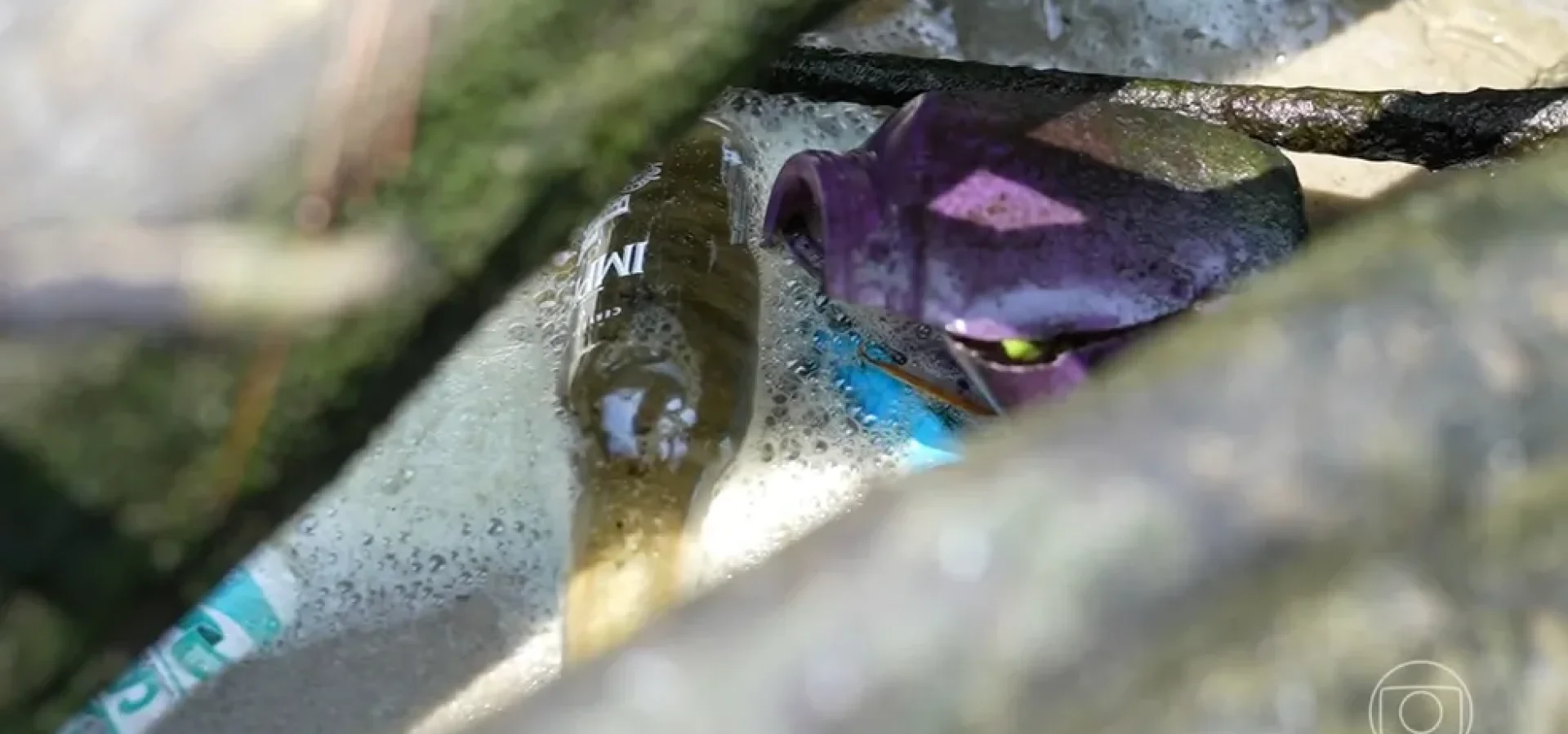Pedaços de plásticos, cigarros e isopor estão entre os objetos que mais poluem as águas do Brasil — Foto: Jornal Nacional/Reprodução
