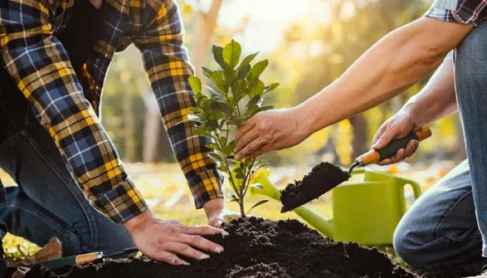 "O Dia Mundial do Meio Ambiente busca conscientizar a respeito da dimensão dos impactos das ações humanas no meio ambiente."