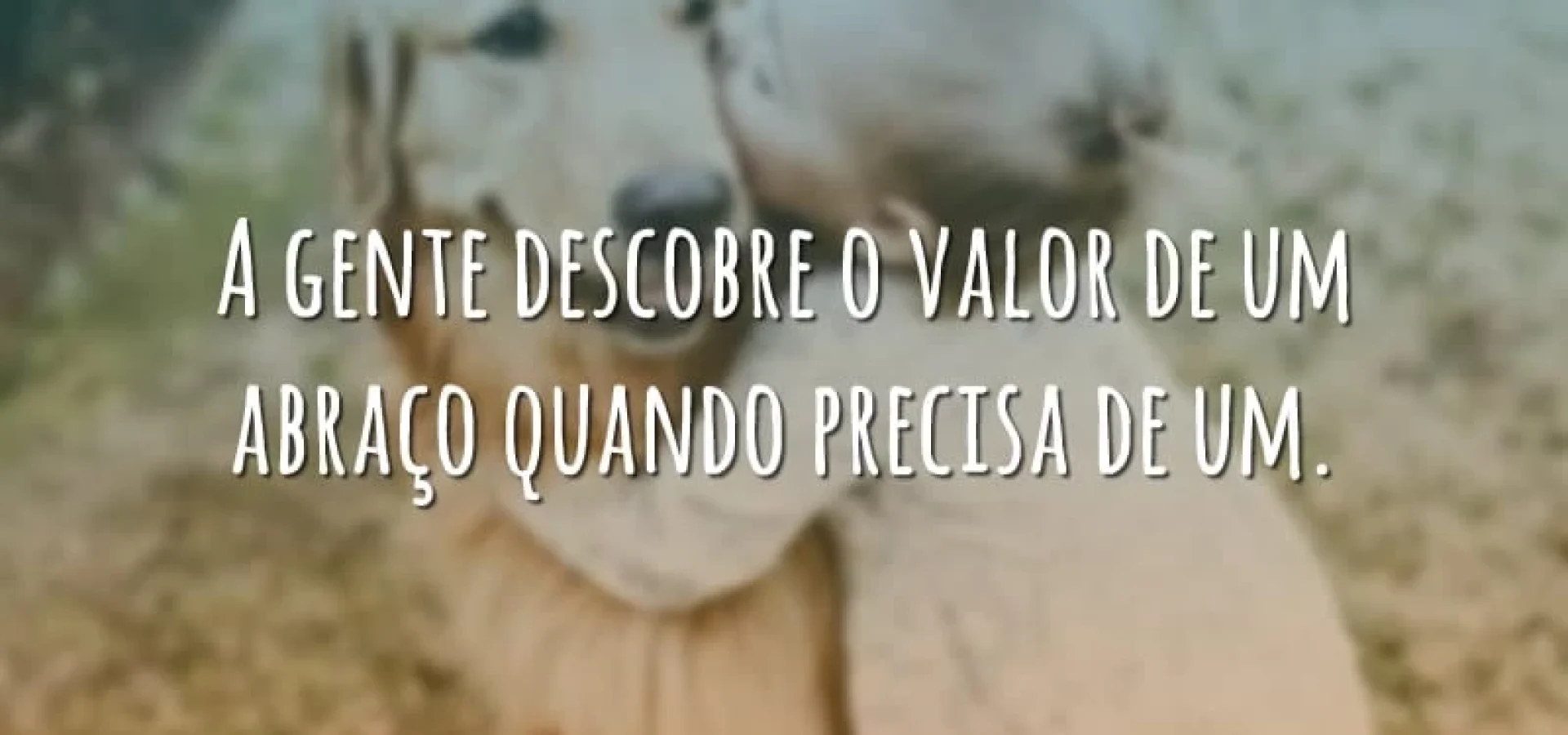 o-valor-de-um-abraco