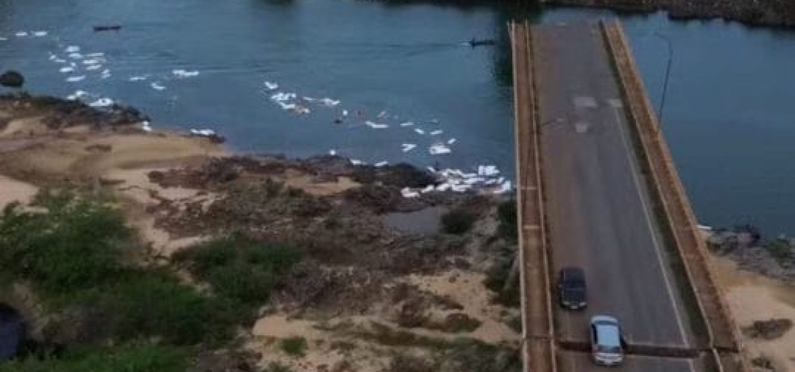 Foto: Redes sociais, Reprodução