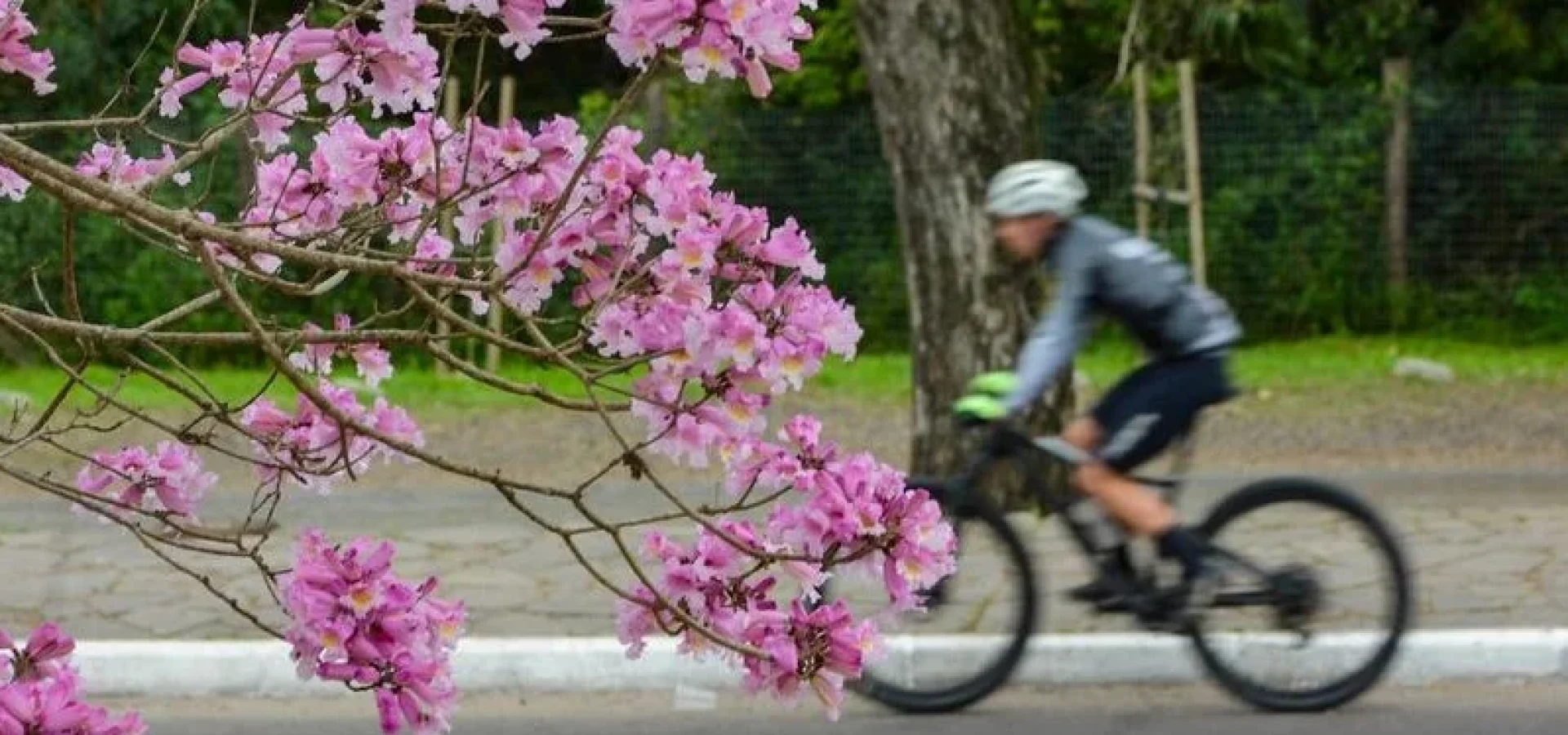 Novembro deve ser marcado por dias agradáveis ou de calor moderado no RS; chuva abaixo da média em muitas cidades.
Foto : Pedro Piegas